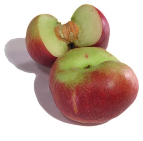 The Produce Guide   Donut Nectarine