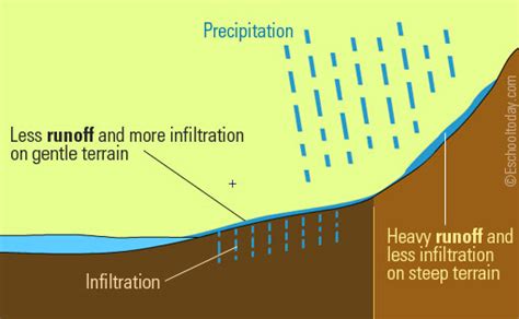 The runoff stage of the water cycle
