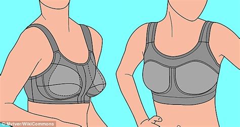 The science of sports bras   How physics has kept women ...