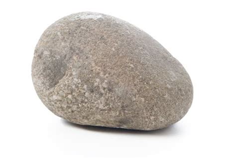 The story of Pet Rock