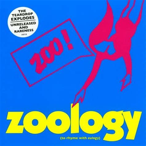 The Teardrop Explodes   Zoology   Reviews   Album of The Year