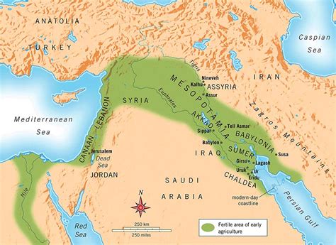The term Mesopotamia and geographical position | Short ...