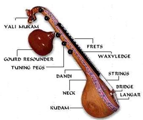 The Vina is one of the most important instruments of South ...