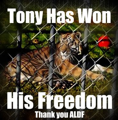 The Voice For The Voiceless: Tony THE Tiger at the truck ...