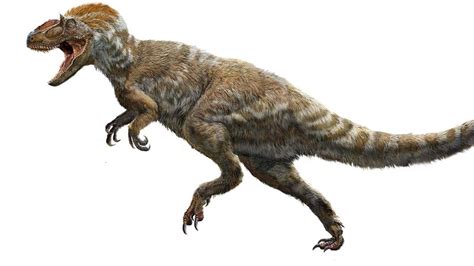 The Yutyrannus, or  Beautiful Feathered Tyrant,  Is the ...
