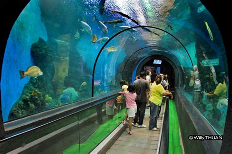 Things To Do In Phuket Thailand: Phuket Aquarium Thailand