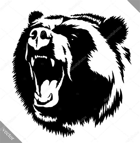 tinta blanco y negro dibujo oso vector ilustración ...
