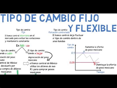 Tipo de cambio fijo y flexible | Cap. 16   Macroeconomía ...