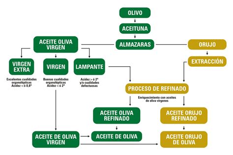 Tipos de Aceites de Oliva Sierra las Villas