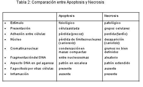 Tipos de acidosis tubular renal pdf
