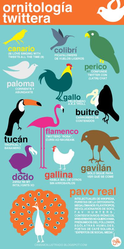 Tipos de aves  usuarios  en Twitter | Codigo Geek