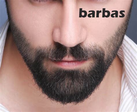Tipos de Barba 【Clases