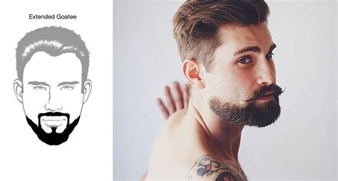 Tipos de barba según la forma del rostro   Alpel