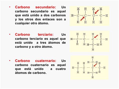 tipos de carbono y cadenas :: Ciencias: química y biología