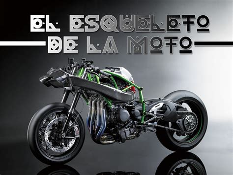 Tipos de chasis de moto: El esqueleto de la moto | Moto1Pro