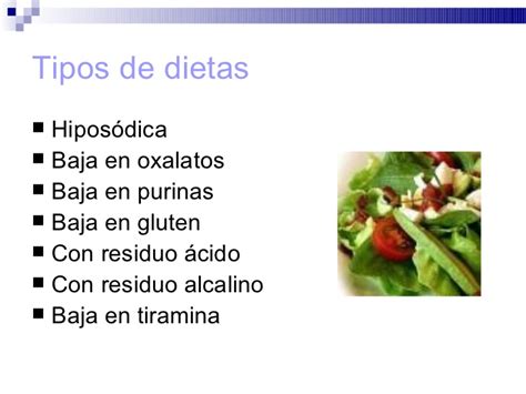 Tipos de dietas_ nutricion