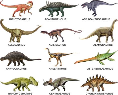 tipos de dinosaurios Buscar con Google | Moodboard Dino ...