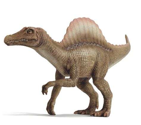 Tipos de dinosaurios carnivoros   Imagui