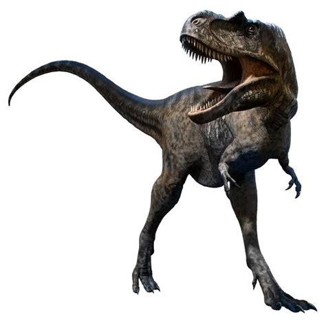 Tipos de dinosaurios carnívoros   Nombres y características