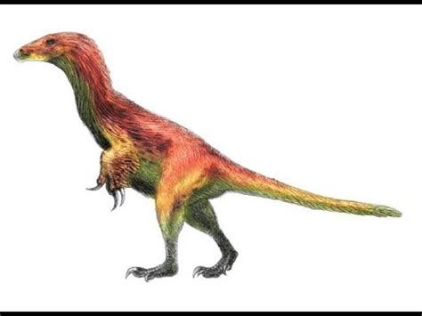 Tipos de dinosaurios con plumas | Enciclopedia sobre ...