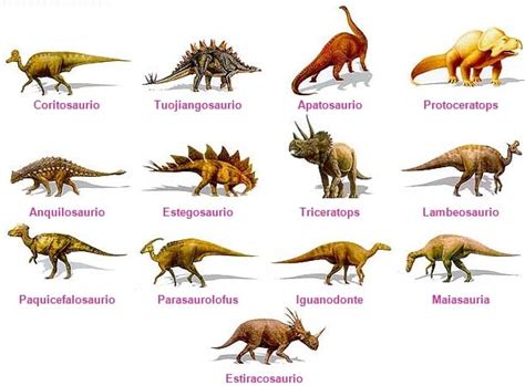 Tipos de dinosaurios con su nombre   Imagui