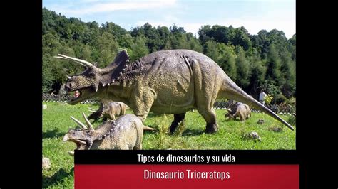 Tipos de dinosaurios y su vida   YouTube