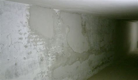 Tipos de humedad en las paredes