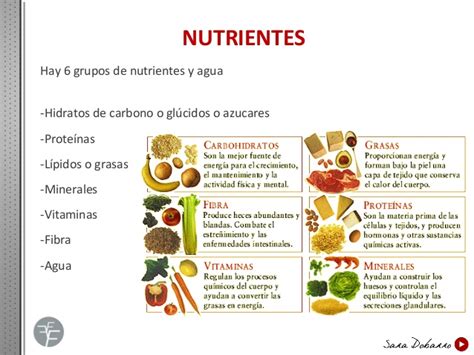 Tipos de nutrientes