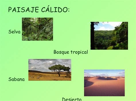 Tipos De Paisajes