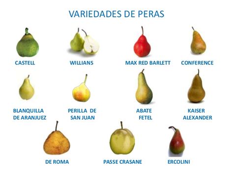 Tipos de peras.