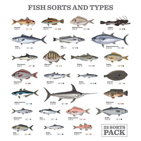Tipos y tipos de peces | Descargar Vectores Premium