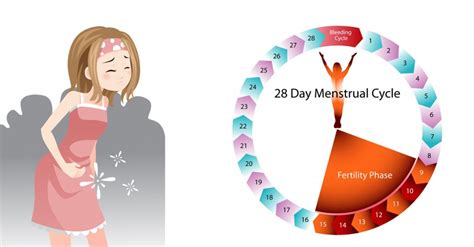 Tips To Restore Your Menstrual Cycle Naturally.