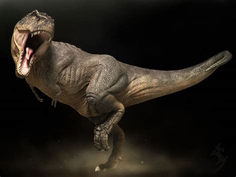Tiranosaurio rex | Especies extintas | Pinterest ...