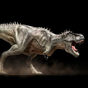 Tiranosaurio Rex o Tyrannosaurus Rex Dibujo, Juegos y Plumas