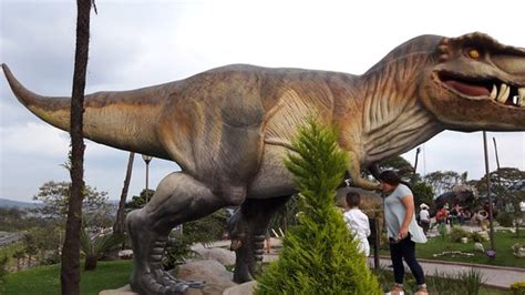 Tiranosaurio Rex   Picture of Expo Parque de los ...