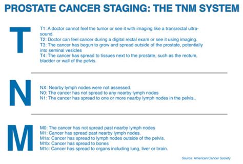 Tnm Lung Cancer Related Keywords & Suggestions   Tnm Lung ...