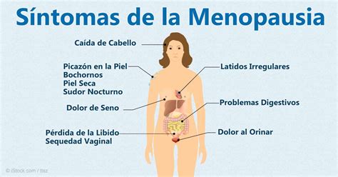 Todo lo que debes saber sobre la menopausia   Todo ...