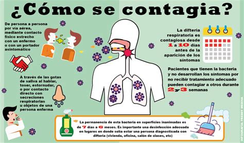 Todo sobre la difteria. Cifras en Valencia Carabobo Venezuela