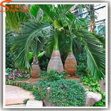 Todo tipo de palmera artificial de plantas tropicales y ...