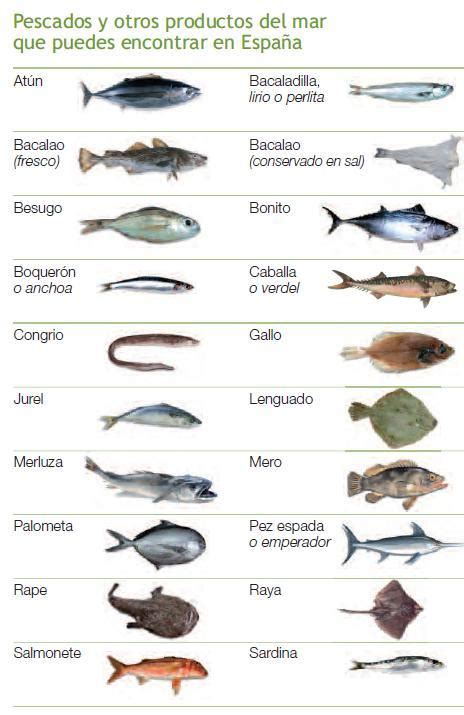 Todos los tipos de peces   Imagui