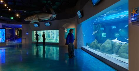 Toledo Zoo Aquarium | EHDD
