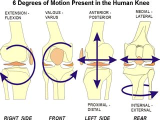 Tom s Physiotherapy Blog: Knee Injuries