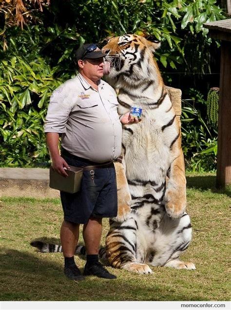 Tony the Tiger by ben   Meme Center