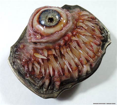 Toothy Teratoma Belt buckle paperweight wall by ...