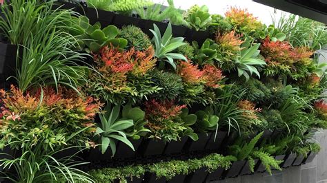 Top 10 Best Plants For Your Indoor Vertical Garden