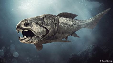 Top 10 des créatures marines les plus terrifiantes aujourd ...