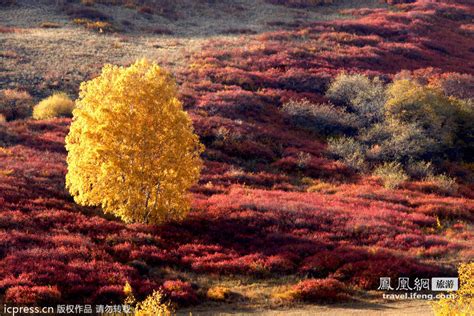 Top 10 fantásticos paisajes otoñales de China_Spanish ...