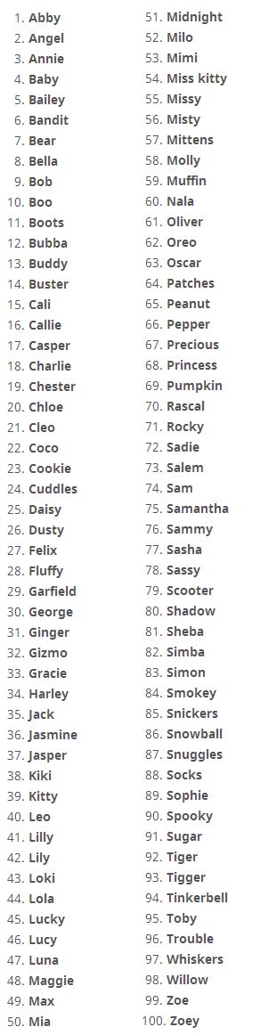Top 100 Good Cat Names, Good Names for Cat