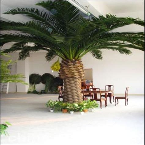 Top 28   Outdoor Artificial Palm Trees For Sale   catalina ...