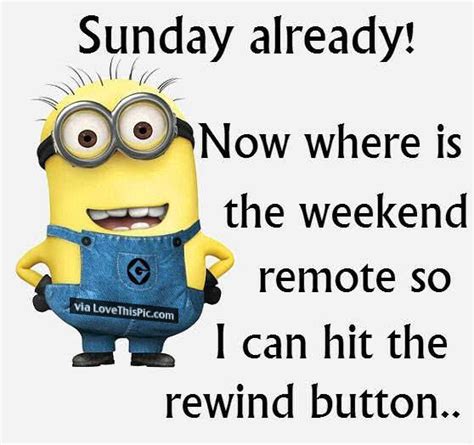 Top 29 Happy Sunday Funny Images   Funny Minions Memes